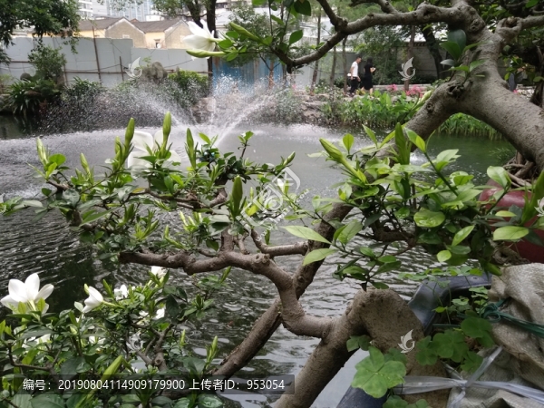 花