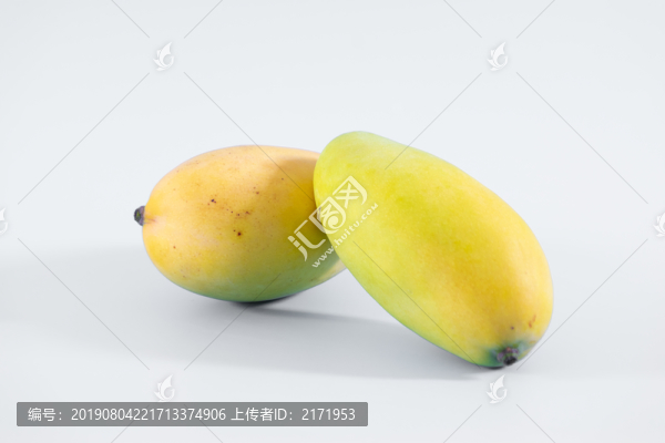 芒果