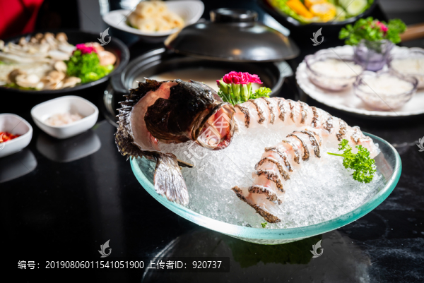 龍膽魚姿造
