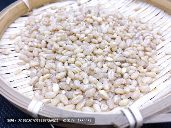 麥仁