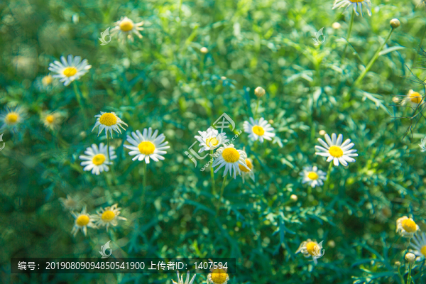 新加坡濱海灣花園