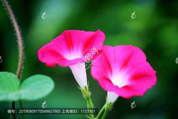 牽?；? title=