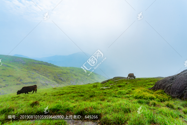 崇義齊云山
