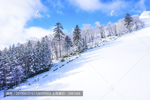 日本北海道雪景