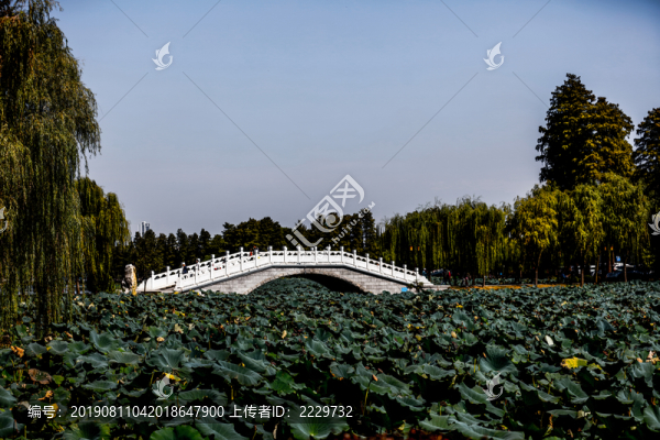 武漢東湖