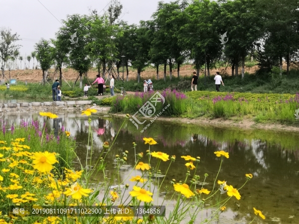 夏日景色