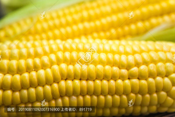 玉米