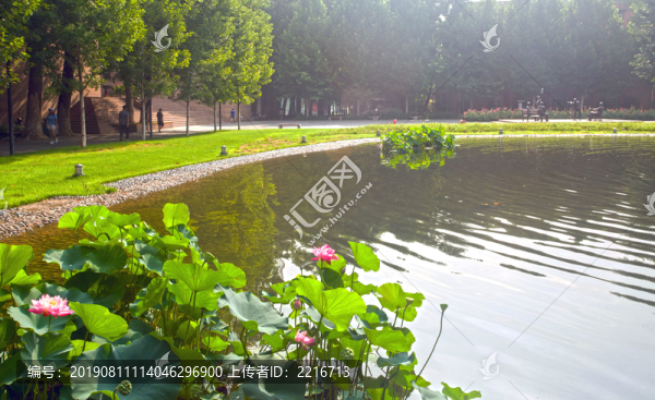 傳媒大學(xué)校園景色