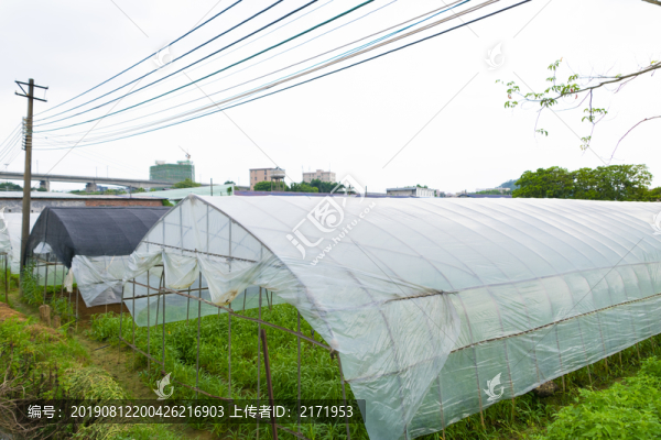 蔬菜大棚