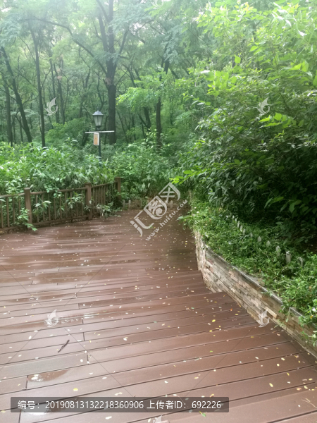 雨后小路