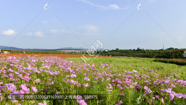 花海莊園