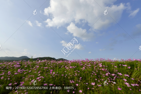 花海莊園