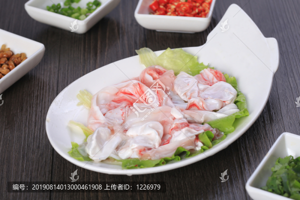 魚泡