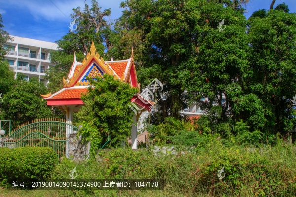 芭提雅街景