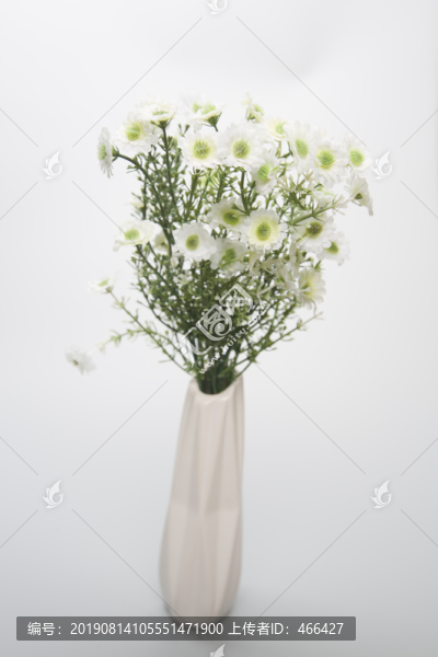 白色野菊花擺件
