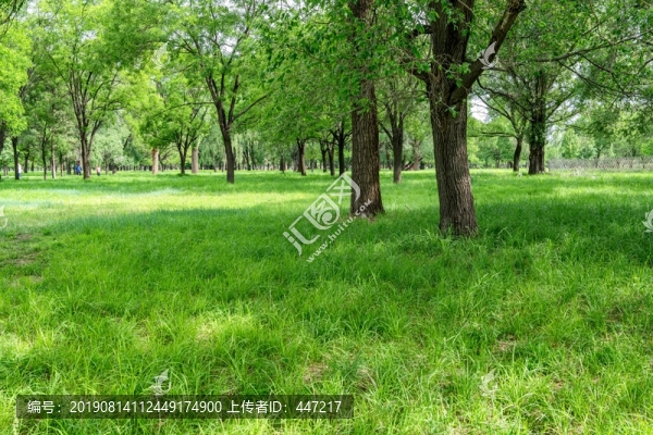 萬樹園