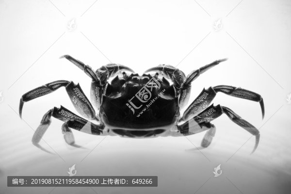大閘蟹