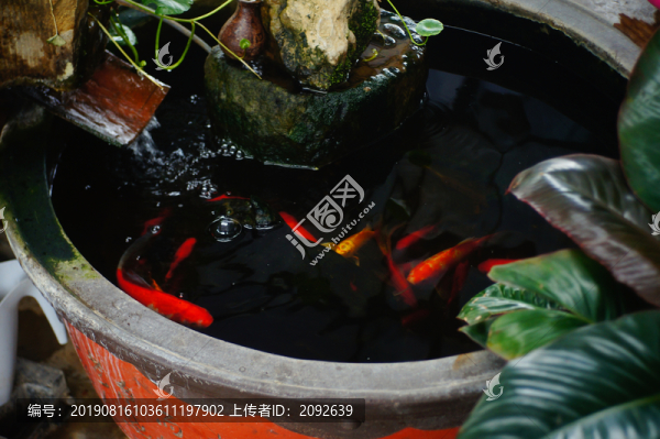 室內(nèi)裝飾金魚水缸