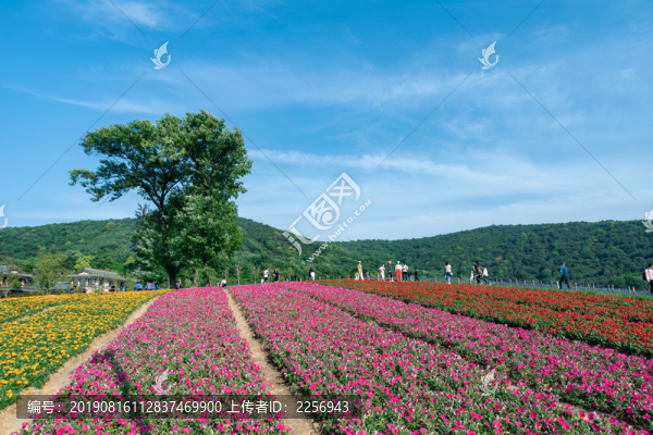 無錫拈花灣