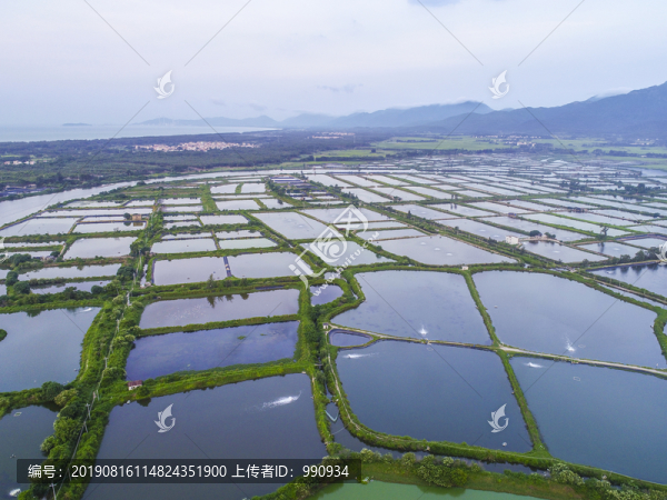 海水養(yǎng)殖