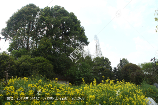 新中式園林設(shè)計(jì)