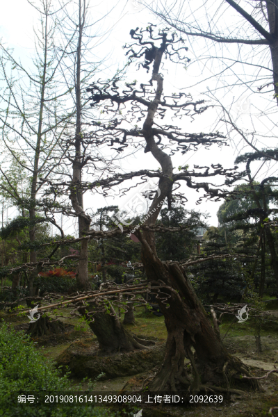 新中式園林設計宅院