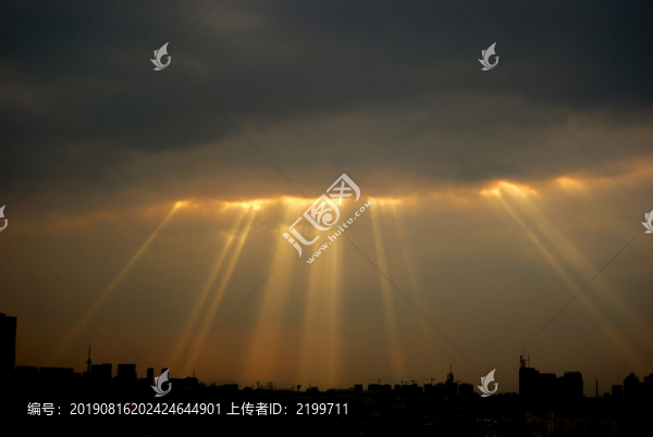 城市之光
