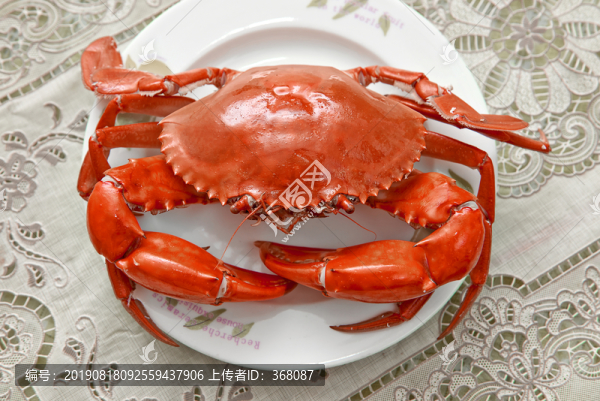 青蟹