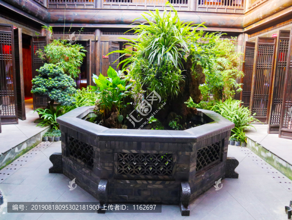 花壇綠植