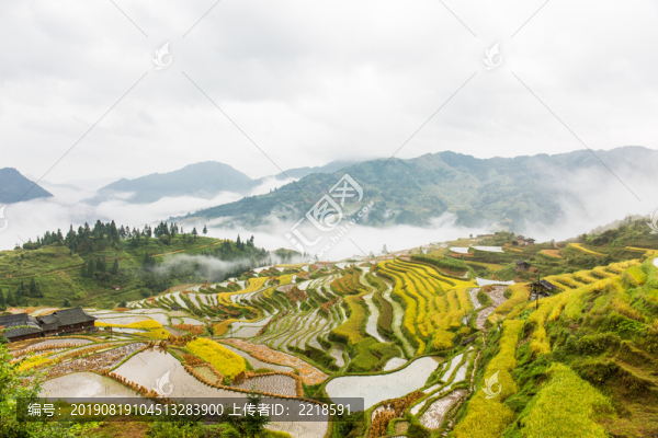 貴州從江秋天雨后的加傍梯田