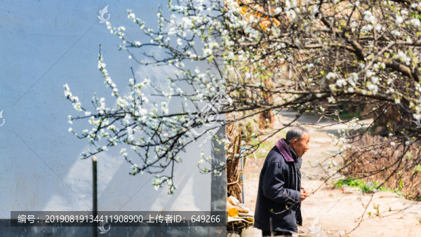 暖春