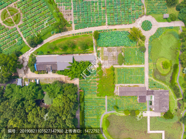 武漢東湖磨山風(fēng)景區(qū)夏日航拍風(fēng)光