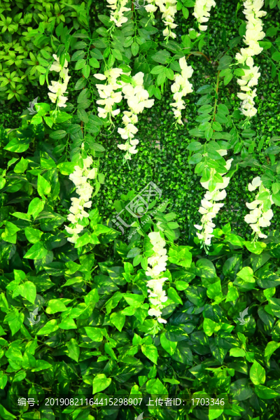 綠色植物背景墻