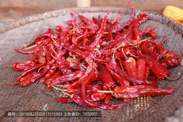 干辣椒