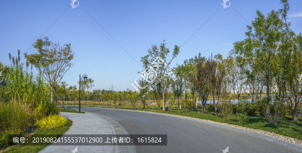 園林小路全景大畫幅