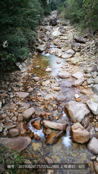 姑婆山