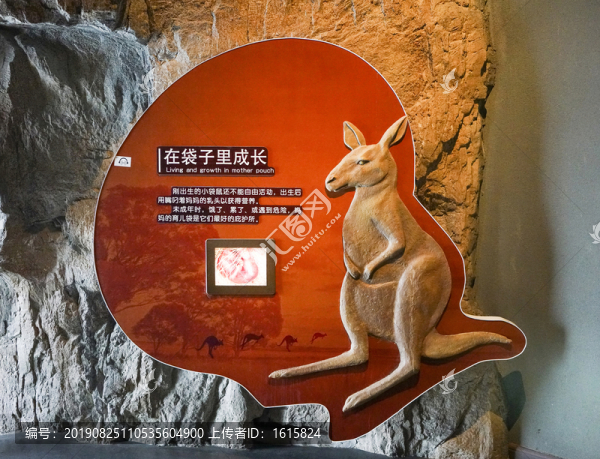 動物科普展板