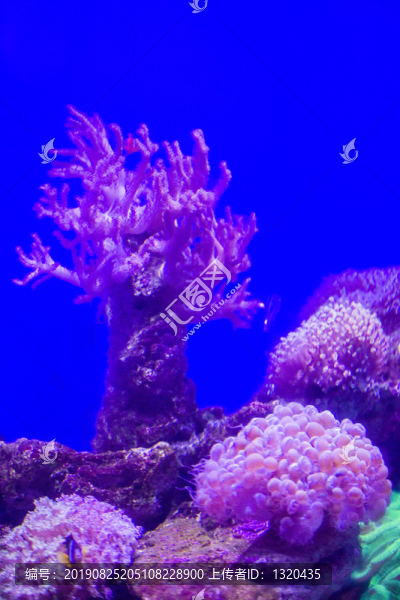 海底世界