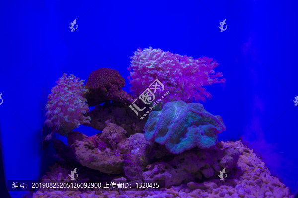海底世界