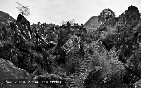 賀州玉石林