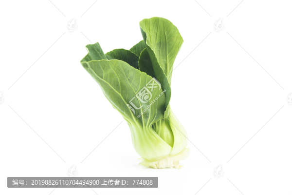 上海青
