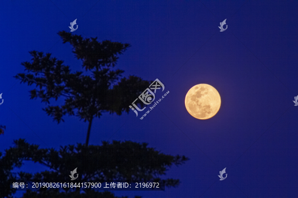 月亮掛樹梢