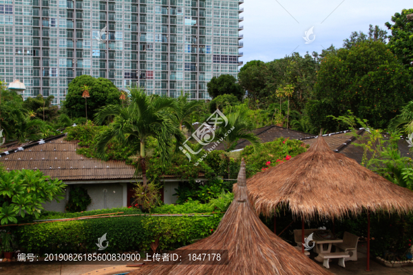 園林景觀