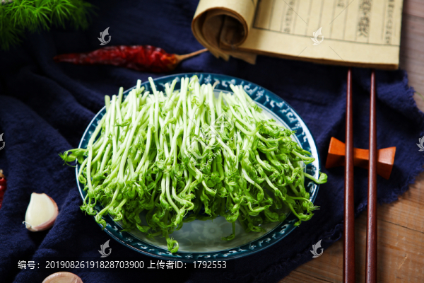 綠豆芽