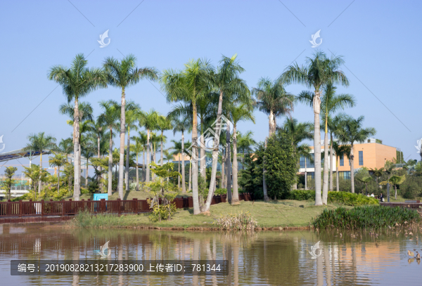 五象湖公園風(fēng)光