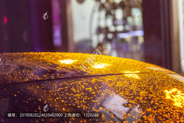 車頂