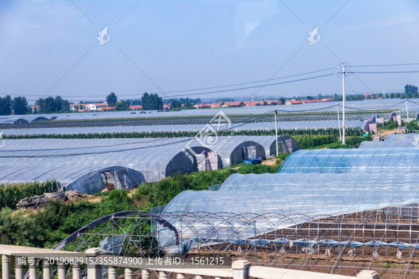 蔬菜大棚素材