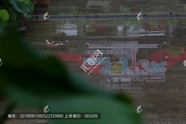 沙湖公園風(fēng)景
