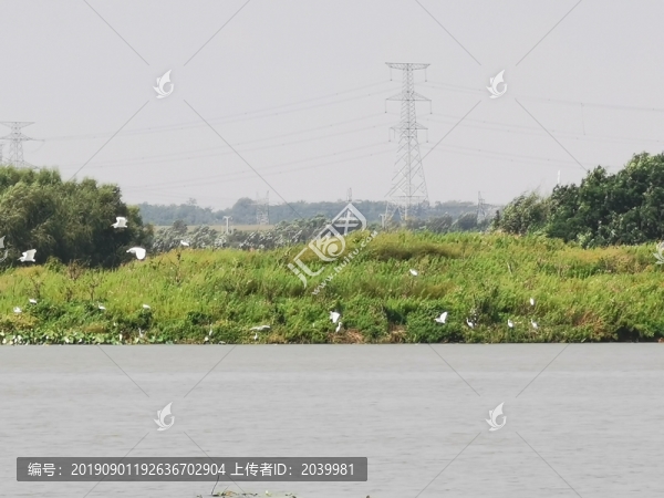 湖