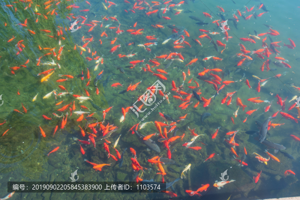 濟(jì)南趵突泉公園